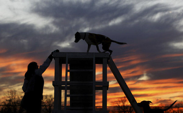 Feature - HM - Trudy Dotson, of German Village, plays with her dog Zoey at the dog park at Scioto Audubon Park in Columbus, (Eric Albrecht / The Columbus Dispatch)