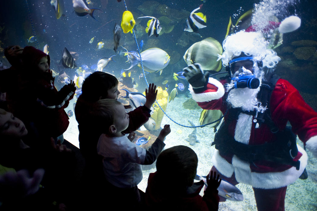 Feature - 1st placeKids crowd the aquarium glass to catch a glimpse of a scuba diving Santa Claus at the Columbus Zoo and Aquarium during the Wildlights member preview night. (Eamon Queeney / The Columbus Dispatch)