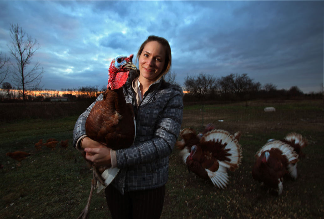 Portrait - HMShelly McNulty, of Poplar Creek Pastured Poultry near Baltimore, holds one of her heritage turkeys a Bourbon Red. Her entire lot of turkeys sold for the Thanksgiving holiday. (Eric Albrecht / The Columbus Dispatch)