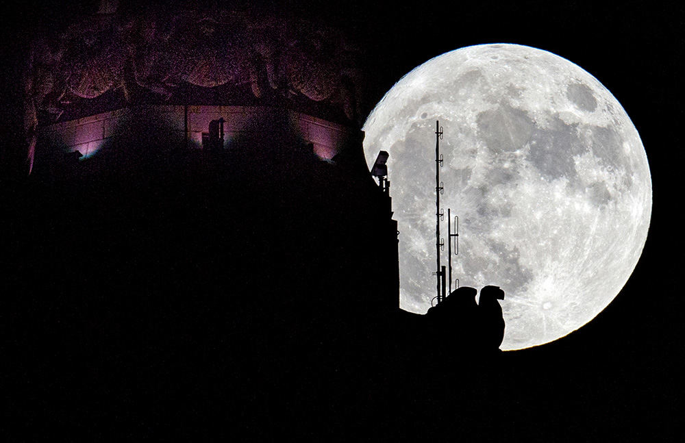 AFeature - 3rd place - A "supermoon" full moon rises behind the eagle sculpture high atop LeVeque Tower in Columbus. On Monday morning, the moon will be its closest distance to earth since 1948.  (Adam Cairns / The Columbus Dispatch)