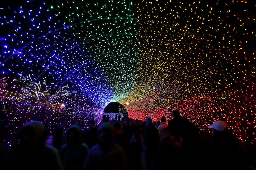 Feature - HM - Zoo goers walk through the Rainbow Tunnel during the PNC Festival of Lights at the Cincinnati Zoo.  (Kareem Elgazzar / The Cincinnati Enquirer)