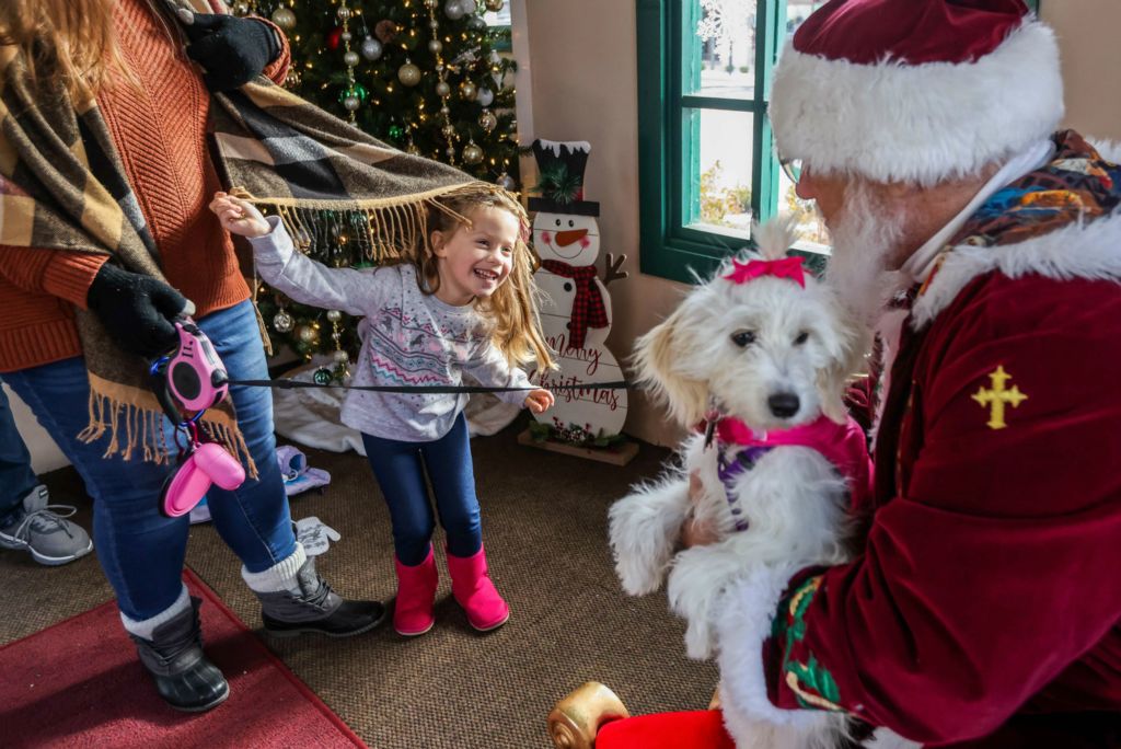 General News - HM - Perrysburg resident Autumn Lisk, 4, climbs timidly out from underneath mother Michelle Lisk’s scarf as Santa asks what she wants for Christmas while holding the family’s 3-month-old Bernadoodle, Faith, during ‘Paws with Claus’ at The Town Center at Levis Commons in Perrysburg.  (Isaac Ritchey / The Blade)