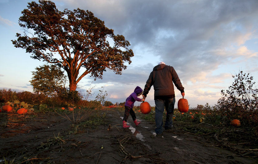 Feature - 1st place - Jason Bowe, from Grove City, walks his daughter Sophia Bowe across the wet pumpkin field for the hay ride back to their car at Circle S Farms after collecting their pumpkins for Halloween.  (Eric Albrecht / The Columbus Dispatch)