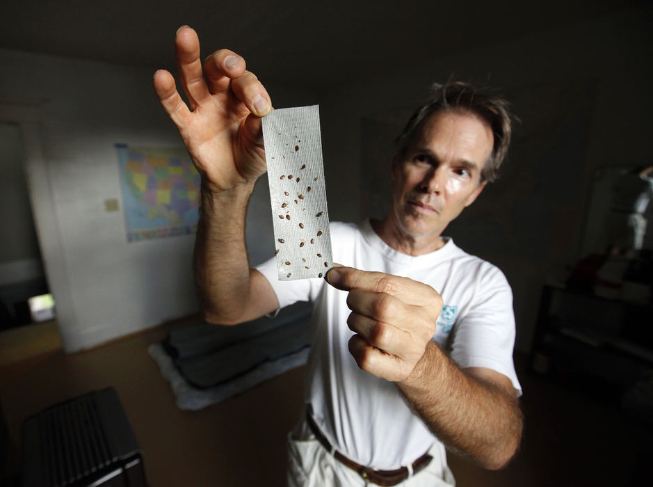 Portrait - 2nd placeRod Bodwalk shows off a collection of bed bugs he has killed in his Columbus apartment.  (Jonathan Quilter / The Columbus Dispatch)