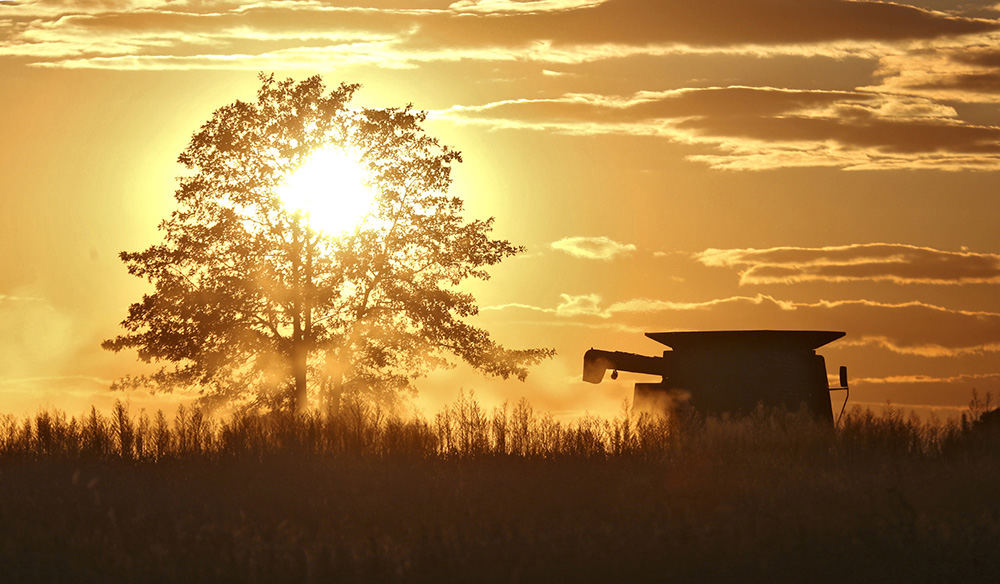 MT Feature - 2nd place - Farmer Clyde Ohnewehr harvests soybeans on his farm near Mt.Sterling. Ohnewehr  said he had a pretty  good crop this year and was hoping to finish his harvest by November 1. (Eric Albrecht / The Columbus Dispatch)