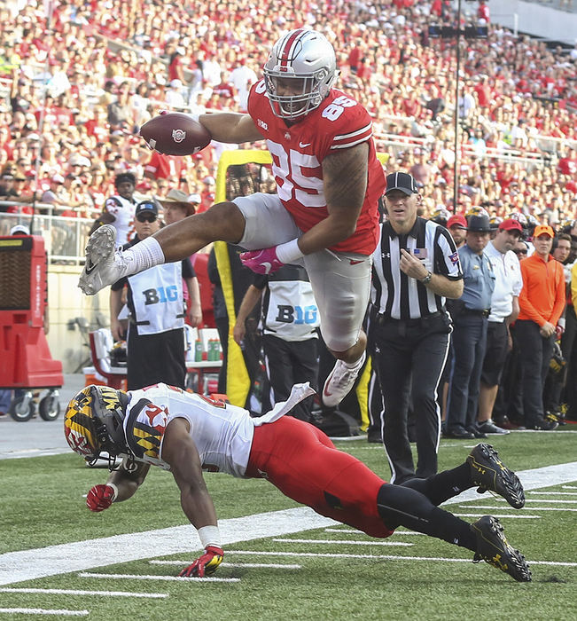    Sports - 2nd place - Ohio State tight end Marcus Baugh (85) leaps over Maryland defender Antoine Brooks (25) to score a touchdown during the second quarter of a game October 7 in Columbus.  (Jeremy Wadsworth / The Blade)