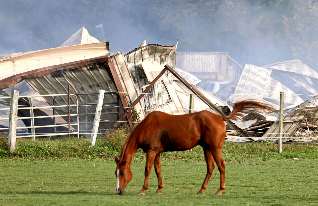 Spot News - 3rd placeA horse grazes in front of the smoldering remnants of a barn at Fantasy Acres on Roachton Road in Middleton Township. Four horses and a donkey were killed in the blaze. (Kurt Steiss / The Blade)