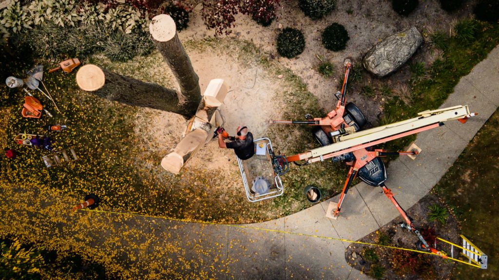 General News - 1st place - Dan Warther works on a giant carving of what is to be seven pairs of pliers from a Maple Tree in front of the Warther Museum in Dover. (Andrew Dolph / The Times Reporter) 