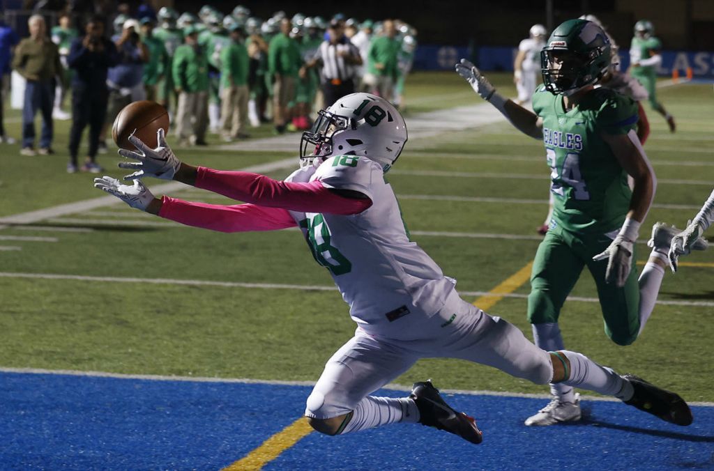 Sports - 2nd place - Badin's James Brink dives for a pass in the end zone under pressure from CJ's Colin Kadel.  (Bill Lackey / Springfield News-Sun)