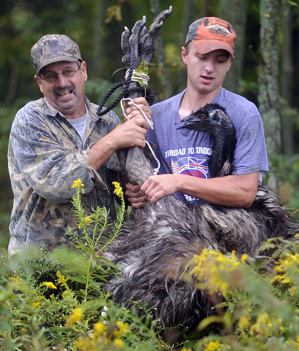 Spot News - 2nd place - Jim Neff and his son, Chad, carry a six foot tall emu from a wooded area after catching the flightless bird Sept. 19. The emu had escaped from the Neff's farm earlier in the morning and Clark County Sheriff's deputies were called to the scene when the bird was reported running down New Carlisle Pike. (Bill Lackey / Springfield News-Sun)