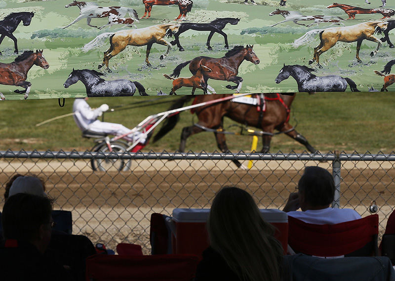 Story - 1st place - A horse and rider are seen warming up before the 12th race through a horse-themed canopy during the 69th running of the Little Brown Jug at the Delaware County Fairgrounds. Hosted every year on the third Thursday after Labor Day the Little Brown Jug is one of the two most coveted races for standardbred horses and something of a holiday in Delaware. Fans chain their chairs around the outside fences weeks in advance. Yannick Gingras driving Limelight Beach won the Little Brown Jug.  (Eamon Queeney / The Columbus Dispatch)