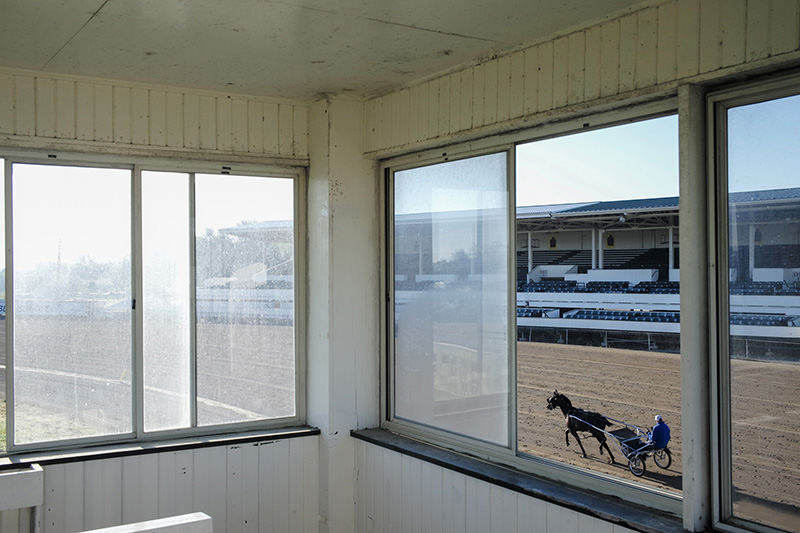 Feature - 3rd place - A trainer drives a pacing horse in preparation of the Little Brown Jug at the Delaware County Fairgrounds. (Joshua A. Bickel / ThisWeek Community News)