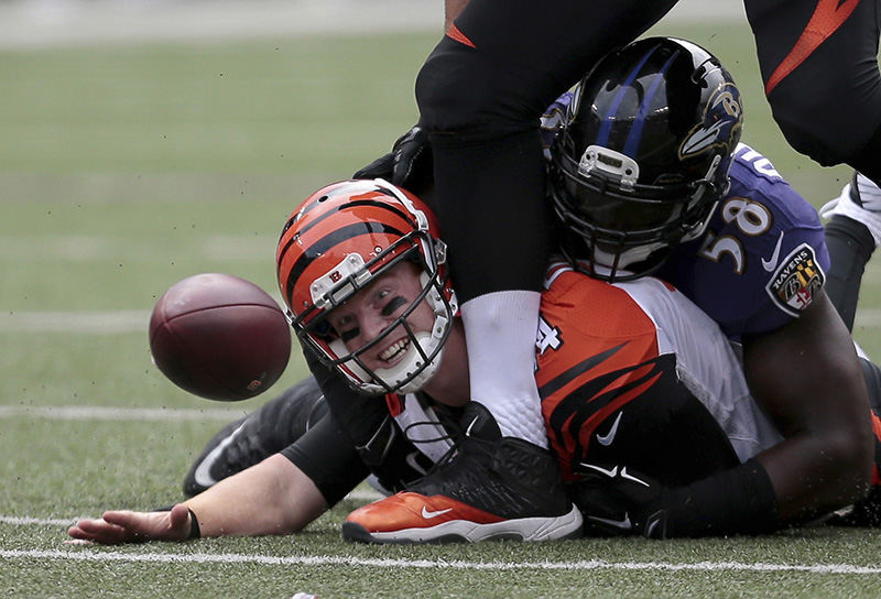 SSports - 1st place - Cincinnati Bengals quarterback Andy Dalton (14) fumbles the ball, which was returned for a touchdown, as he's sacked during the fourth quarter against the Baltimore Ravens at M&T Bank Stadium in Baltimore.  (Sam Greene / Cincinnati Enquirer)