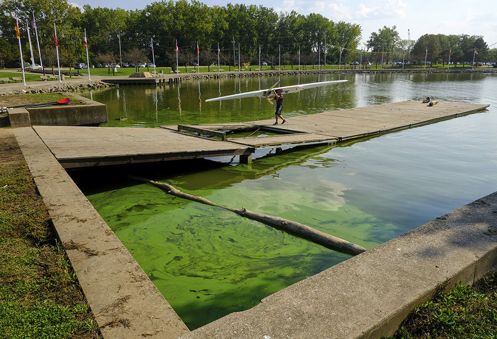    General News - 3rd place - Central Catholic High School rowing coach Ethan Peters removes his boat from the Maumee River were an algae bloom from Lake Erie has moved into the boat basin at International Park in Toledo.  (Jeremy Wadsworth / The Blade)