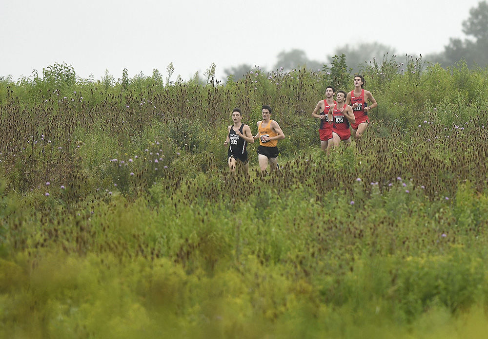 Sports - 3rd place - The lead group of runners race through a field during the Queen City Invite at Voice of America Park in West Chester. The Dayton Flyers won the event placing six runners in the top ten. (Erik Schelkun / Elsestar Images)