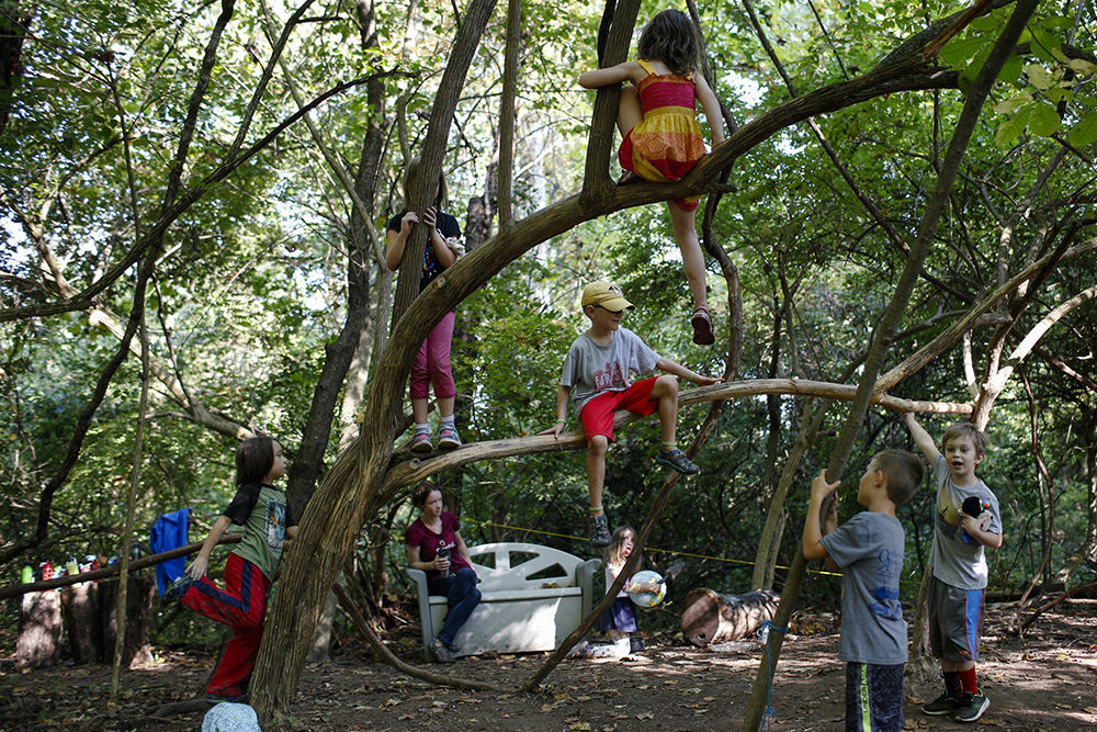 MTStory - 3rd place - Students explore the woods during outdoor play at Red Oak Community School in Columbus. The two-year-old private school incorporates the outdoors and environmental awareness into much of its curriculum. (Joshua A. Bickel / The Columbus Dispatch)