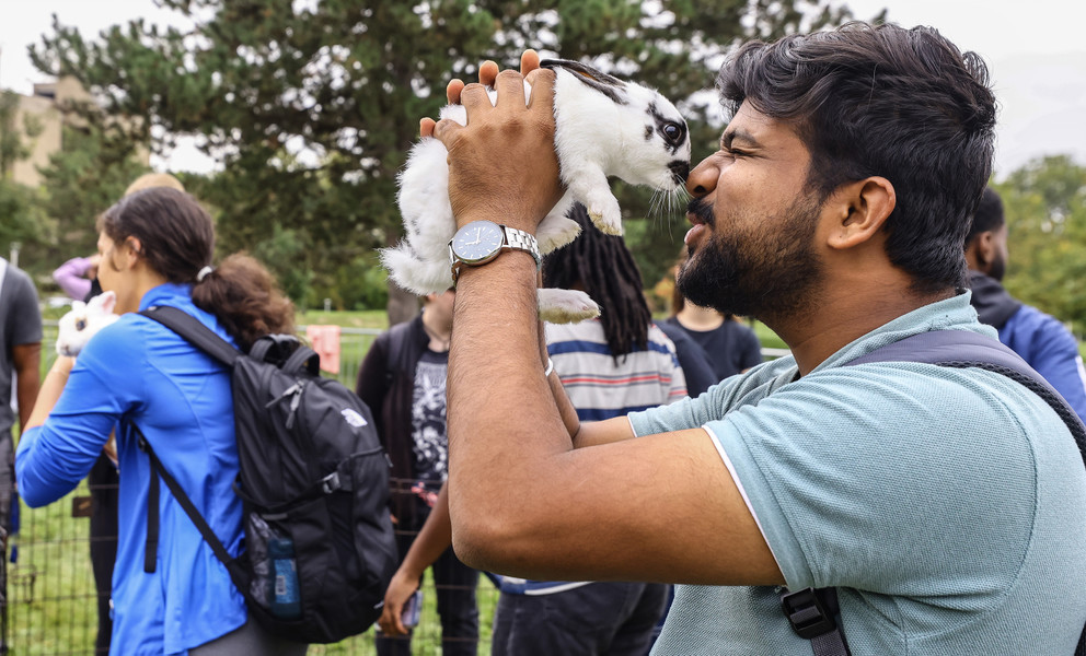 Feature - HM - Graduate student Shubham Shinde rubs noses with a rabbit at a petting zoo set up on the Memorial Field House Lawn as part of Homecoming Week at the University of Toledo. (Jeremy Wadsworth / The Blade)