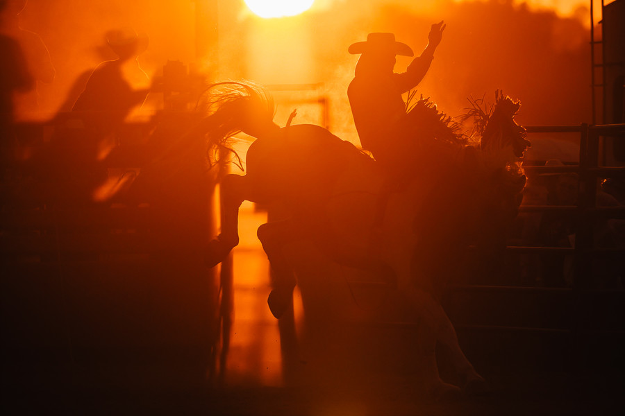 Story - 1st place - A cowboy participates in bare-back riding at the Tuscarawas County Fair. (Andrew Dolph / The Times Reporter)