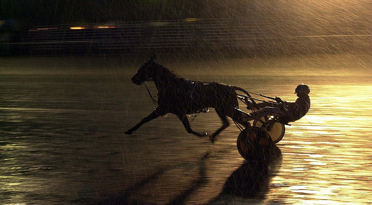 First place, Larry Fullerton Photojournalism Scholarship - Lindsay Steiner / Ohio UniversityDriver Jim Dailey and horse Route Three-O-Nine race in the Allen County Fair Super Trot in the eighth race.  Dailey placed third in the 14th, and final, race. 