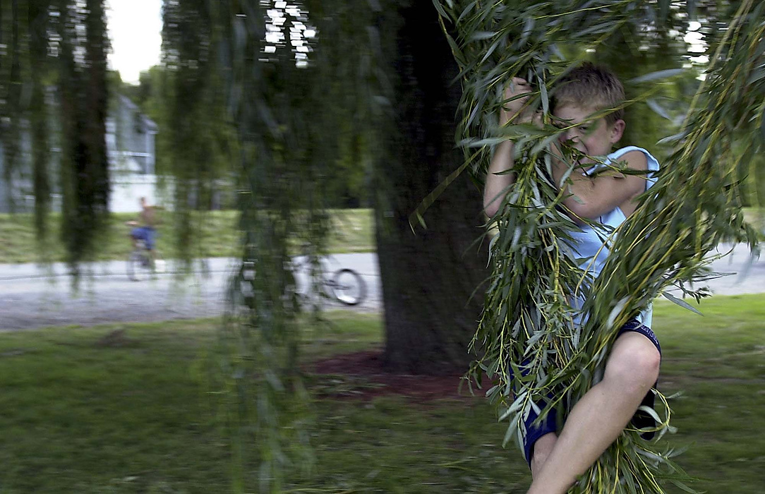 First place, Larry Fullerton Photojournalism Scholarship - Lindsay Steiner / Ohio UniversityJesse Blackburn, 10, of Delphos spends his Sunday afternoon swinging from a weeping willow tree while friend Michael Bellanger, 11, watches in the background.  