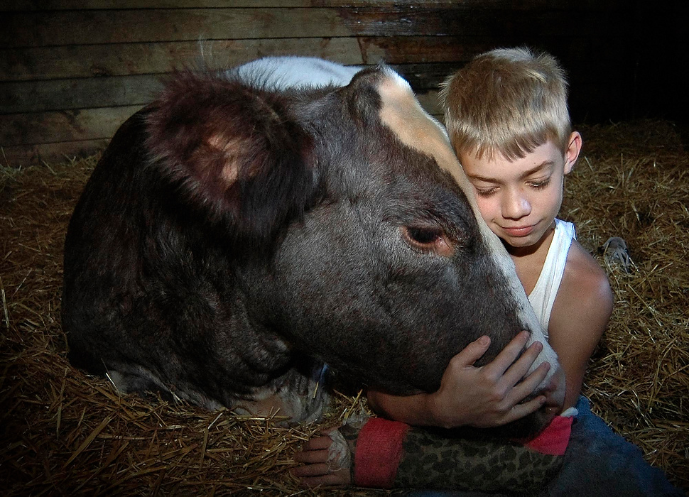 Larry Fullerton Photojournalism Scholarship - Laura Torchia / Kent State UniversityLarryA nine-year-old shalersville boy shows affection for his prizewinning steer.  A 3rd- generation 4H Club member, he is at ease with his 1300 pound friend.