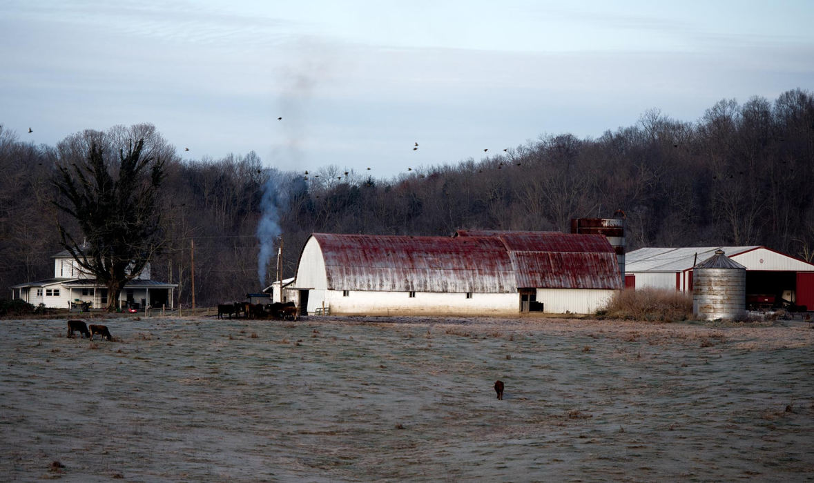First place, Larry Fullerton Photojournalism Scholarship - Sarah Stier / Ohio UniversityLaurel Valley Creamery, a dairy farm operated by the Nolan family, sits atop a hill on Laurel Road in Gallipolis. On the morning of November 23, 2015, smoke rises from a wood-firing boiler that heats the house and barns while the Nolan's cows graze in the surrounding fields.