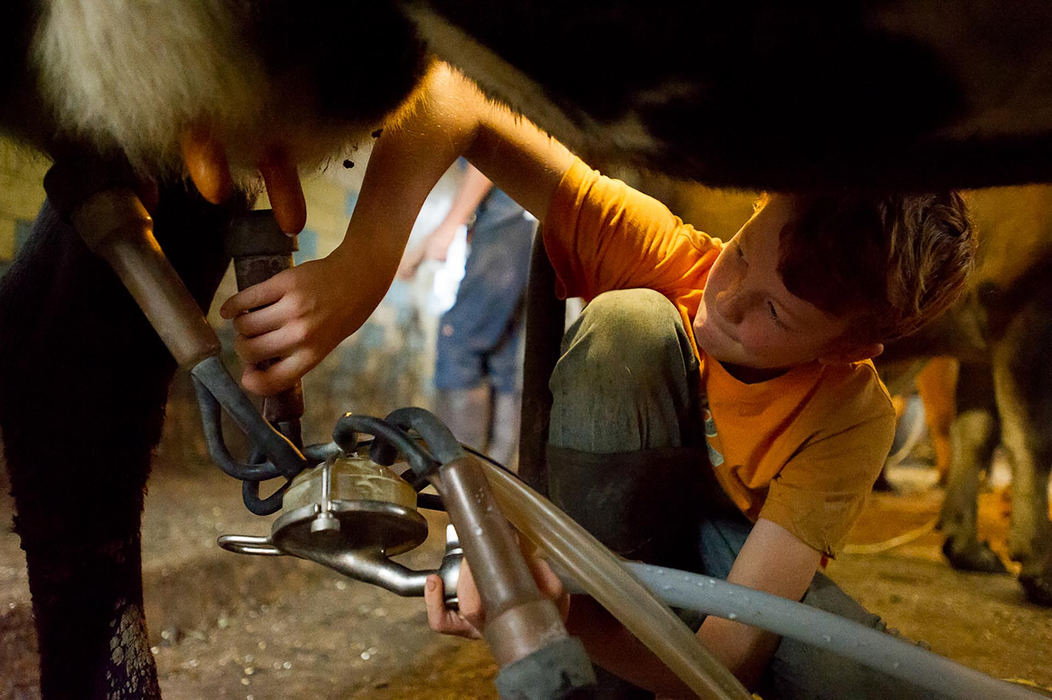 First place, Larry Fullerton Photojournalism Scholarship - Sarah Stier / Ohio UniversityEdgar, 11, places a milking device on a cow's udders during the morning milking process at Laurel Valley Creamery in Gallipolis. The Nolans operate their dairy farm with equipment dating back to the 1960s. 