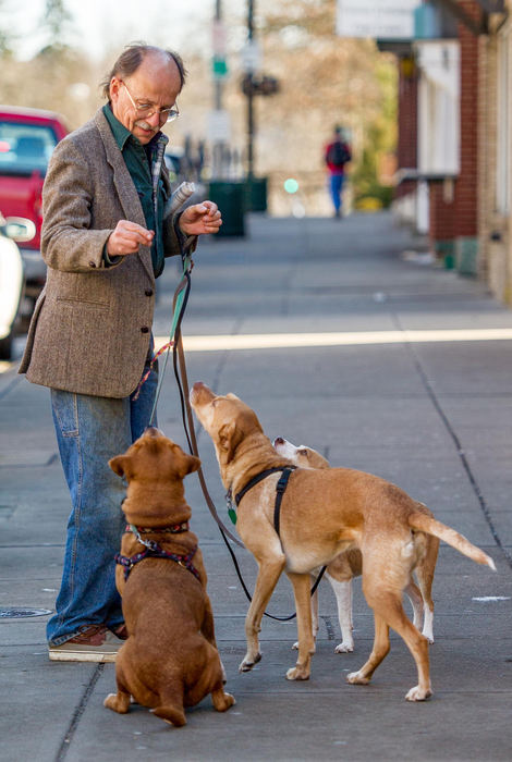 First place, Larry Fullerton Photojournalism Scholarship - Sarah Stier / Ohio UniversityTom Mantey of Athens walks his three dogs down W. Union Street in Athens. Mantey, owner of several pets, stops to show off a trick with his dogs. 