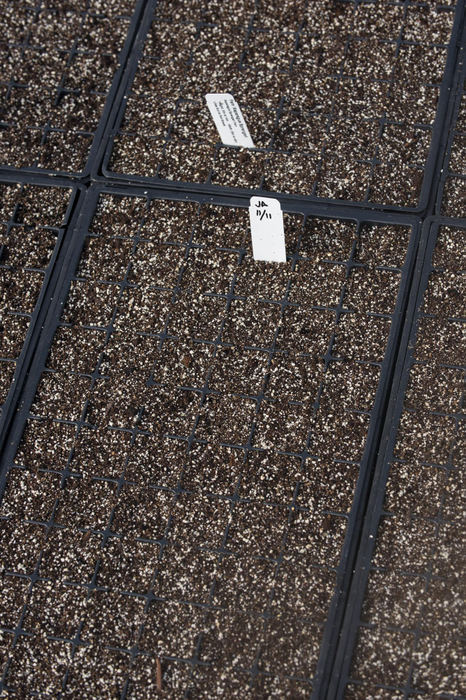 First Place - Larry Fullerton Photojournalism Scholarship , Tanner Pearson / Ohio UniversityPlant seeders at the Natorps farm on Nov. 16, 2020. These are used to fertilize and grow the seed before it is planted outside. “Every plant we grow, no matter its size, starts here” said Matt Bartlett, the head container grower for Natorps.