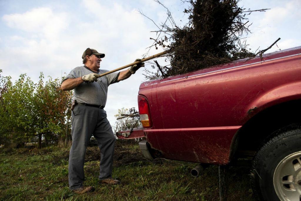 First Place - Larry Fullerton Photojournalism Scholarship , Tanner Pearson / Ohio UniversityDanny Scruggs throws weeds into the back of his pickup truck on Oct. 21, 2020. “It isn’t a pretty truck, its rusted out in places, but a farm truck doesn’t have to be nice” said Danny. He uses the farm truck around the property to haul items from one location to another. Danny stocks the front seat with any kind of tool or clothing he would need while out working.