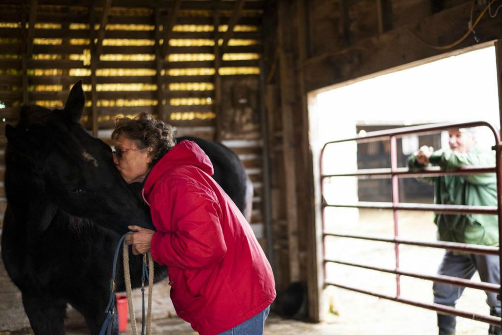 First Place - Larry Fullerton Photojournalism Scholarship , Tanner Pearson / Ohio UniversityBecky Scruggs kisses her horse, Star, on Jan. 3, 2020. The Scruggs have two horses, Third and Star. She takes care of them daily. Becky used to ride them, but recent injuries for both horses has prevented that. Becky still loves them the same.