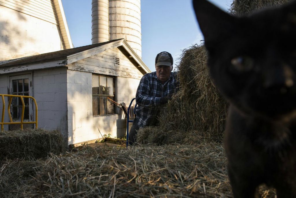 First Place - Larry Fullerton Photojournalism Scholarship , Tanner Pearson / Ohio UniversityDanny Scruggs unloads hay from his trailer while his cat, Hershey watches on Nov. 2, 2020. Danny named the cat Hershey because they got him from Hirshberg scrapyard in Lockland, Ohio. Danny said Hershey also has “a little bit of a chocolate color”.