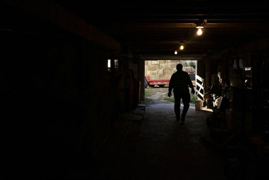 First Place - Larry Fullerton Photojournalism Scholarship , Tanner Pearson / Ohio UniversityDanny Scruggs in the lower section of the barn on Nov. 2, 2020. The lower part of the barn is loaded with as much hay as possible, while the rest is taken to the upper level. 