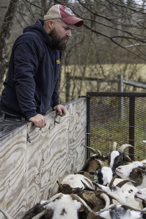 Second Place - Larry Fullerton Photojournalism Scholarship -  Mike looks at the Goats in the trailer as they are about to take them to the new pasture. He makes sure he counts each goat. (Ryan Grzybowski - Ohio University)  