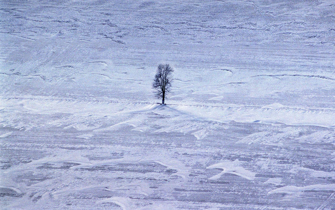 Award of Excellence, Pictorial - Larry Hamel-Lambert / The Plain DealerAfter three years of warm winters, Ohio is  experiencing a more normal kind of winter. Snow-covered fields, like this one near Port Clinton, are not unusual this year.  Thursday, January 4, 2001. (Larry Hamel-Lambert/The Plain Dealer) 