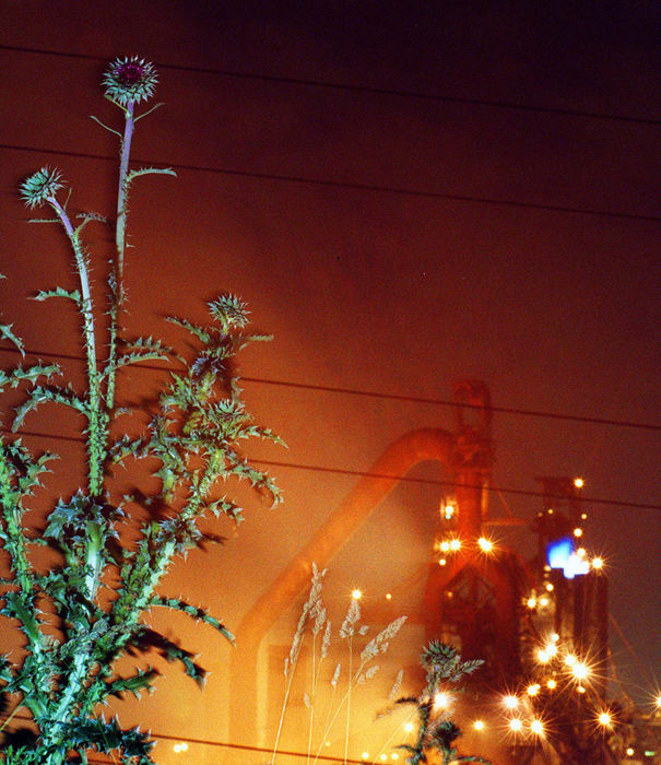 First Place, Photographer of the Year - Mike Levy / The Plain DealerEastside furnace works as weeds grow on property adjacent to LTV steel.