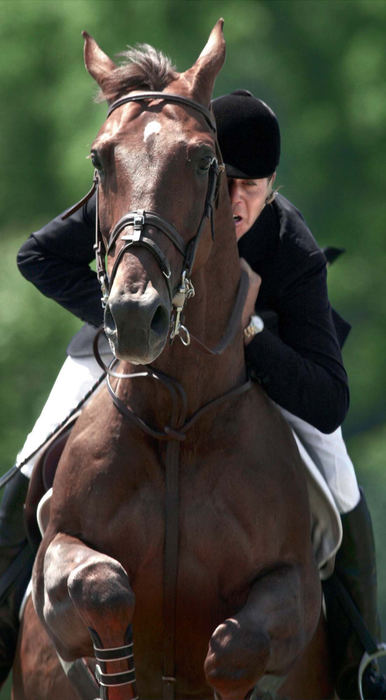 First Place, Photographer of the Year - Mike Levy / The Plain DealerDonald Cheska on the back of Jubilant clear the final jump in the first round. The round was clean and Cheska progressed to the final jump off. 