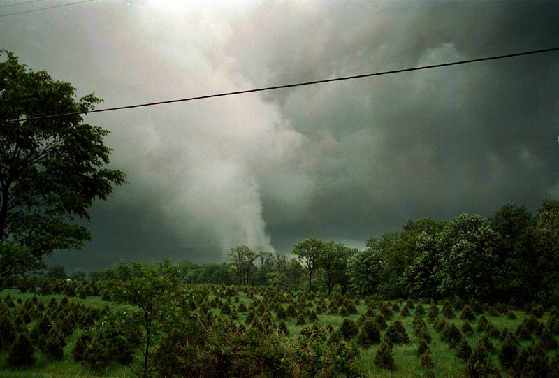 Award of Excellence, Spot News Small Market - Matthew Hovis / Medina County GazetteA tornado spins across the field of a Christmas tree farm in spring 2001.