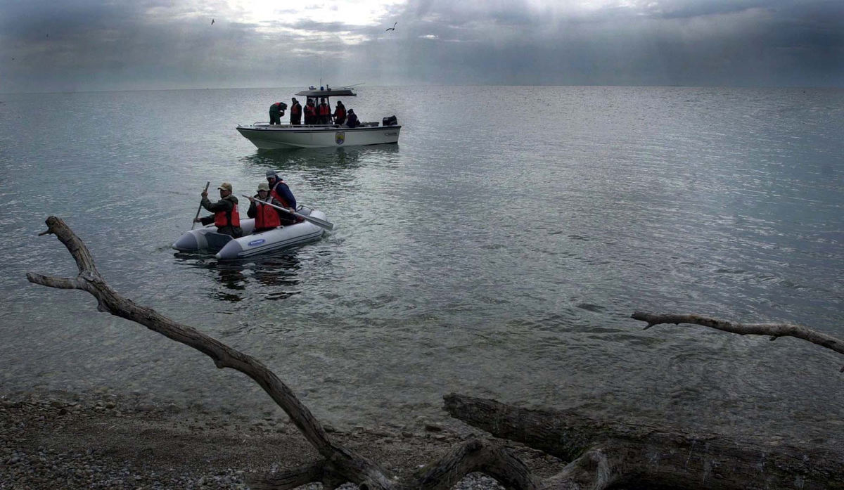 Second Place, Feature Picture Story - Dale Omori / The Plain DealerThe southern shore of Lake Erie is along a major migratory route for many species of birds.  A group of state and local wildlife officials as well as dedicated volunteers count and band the birds each spring.  Black Swamp volunteers as well as personnel from Ottawa Wildlife Refuge and Crane Creek State Park paddle ashore to the beach on West Sister Island, in the western basin of Lake Erie. The island is a designated bird sanctuary, off limits to the public.