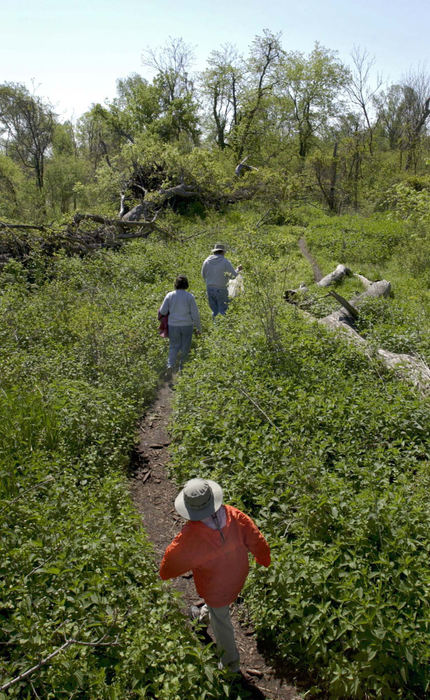 Second Place, Feature Picture Story - Dale Omori / The Plain DealerBlack Swamp volunteers hike back to camp after checking nets in Ottawa County.