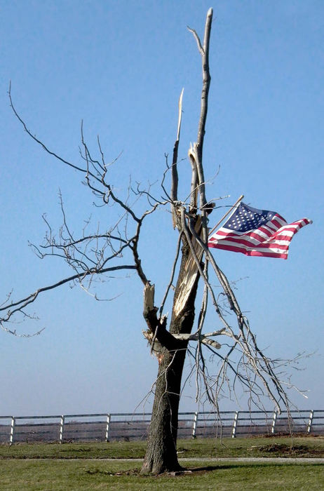 Second Place, News Picture Story - Allan Detrich / The BladeAn American flag sits tangled in a twisted tree at the home of a man in Republic, Ohio who was killed by the November 10th twisters that ripped through Northwest Ohio.