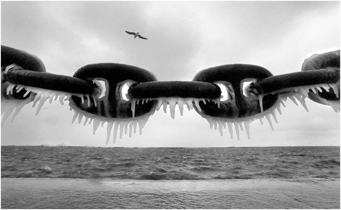 Second Place, Pictorial - Joshua Gunter / The Plain DealerPLicked by giant waves from high winds on Lake Erie, a piece of chain railing at Voinovich park holds onto hundreds or tiny icicles, February 4, 2002. 