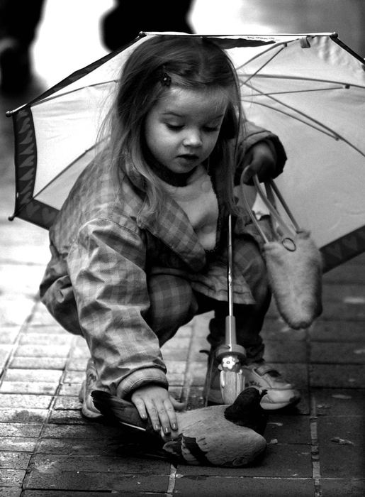 Award of Excellence, Photographer of the Year - Michael E. Keating / Cincinnati EnquirerA little girls reaches down to stroke the pigeon in a gesture of comfort to a struggling pigeon.