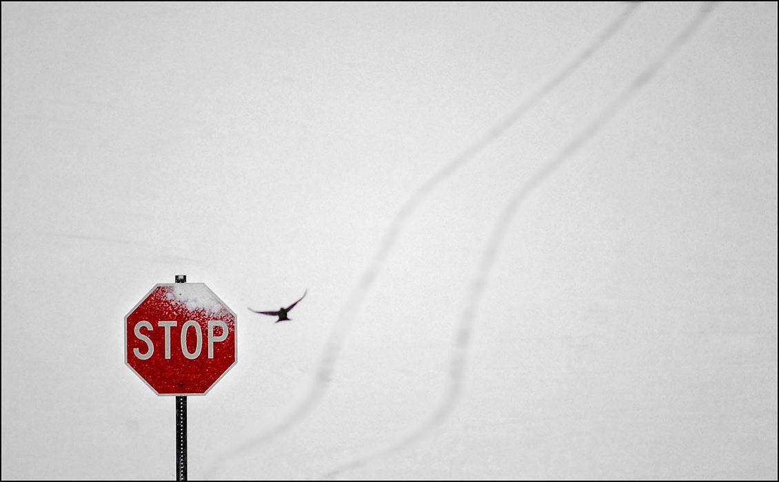 First Place, Photographer of the Year - Ed Suba, Jr. / Akron Beacon JournalA blanket of newly fallen snow from a late March storm covers the parking lot at the Summit Mall in Fairlawn. 