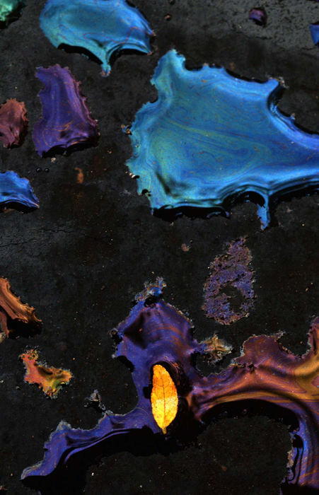 Third Place, Photographer of the Year - Dale Omori / The Plain DealerA fallen leaf, a car engine that leaks oil, and Monday's rain comprise a study in color in the parking lot behind the West Side Market Aug. 19, 2002 in Cleveland.  