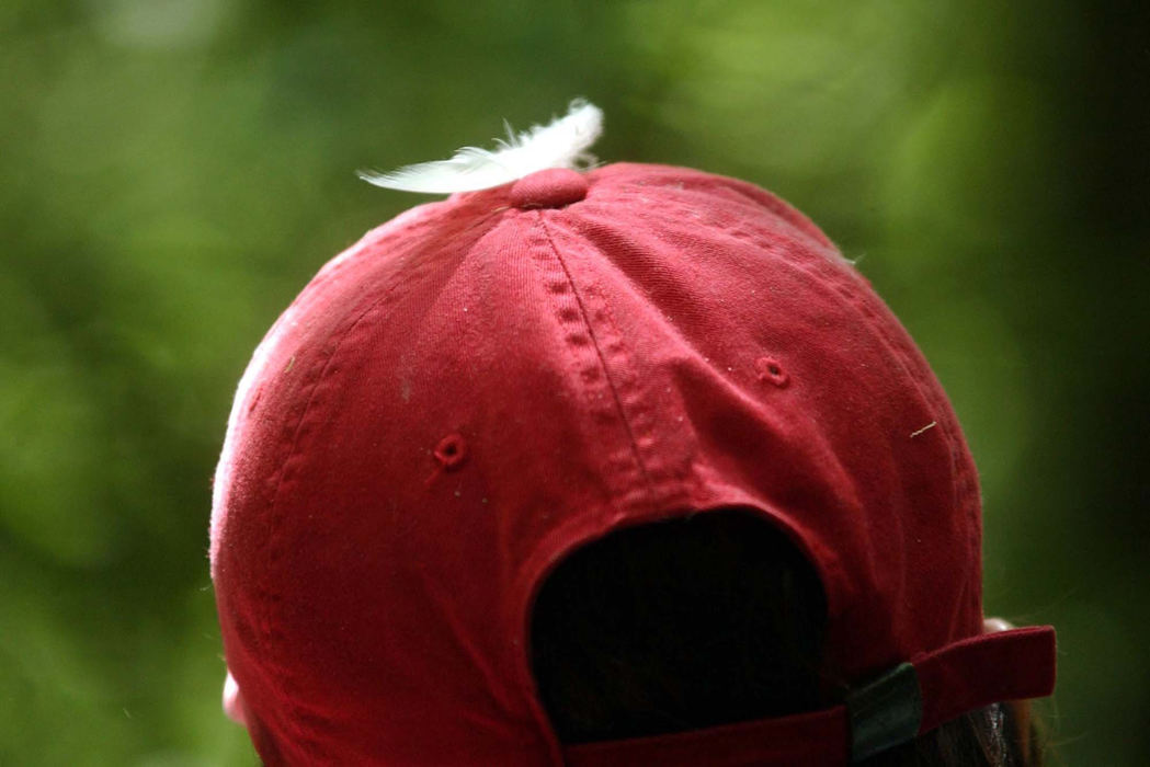 Third Place, Photographer of the Year - Dale Omori / The Plain DealerA feather lights atop the cap of Black Swamp volunteer Kim Fredritz, of Carey, June 17, 2002, on West Sister Island in the western basin of Lake Erie.