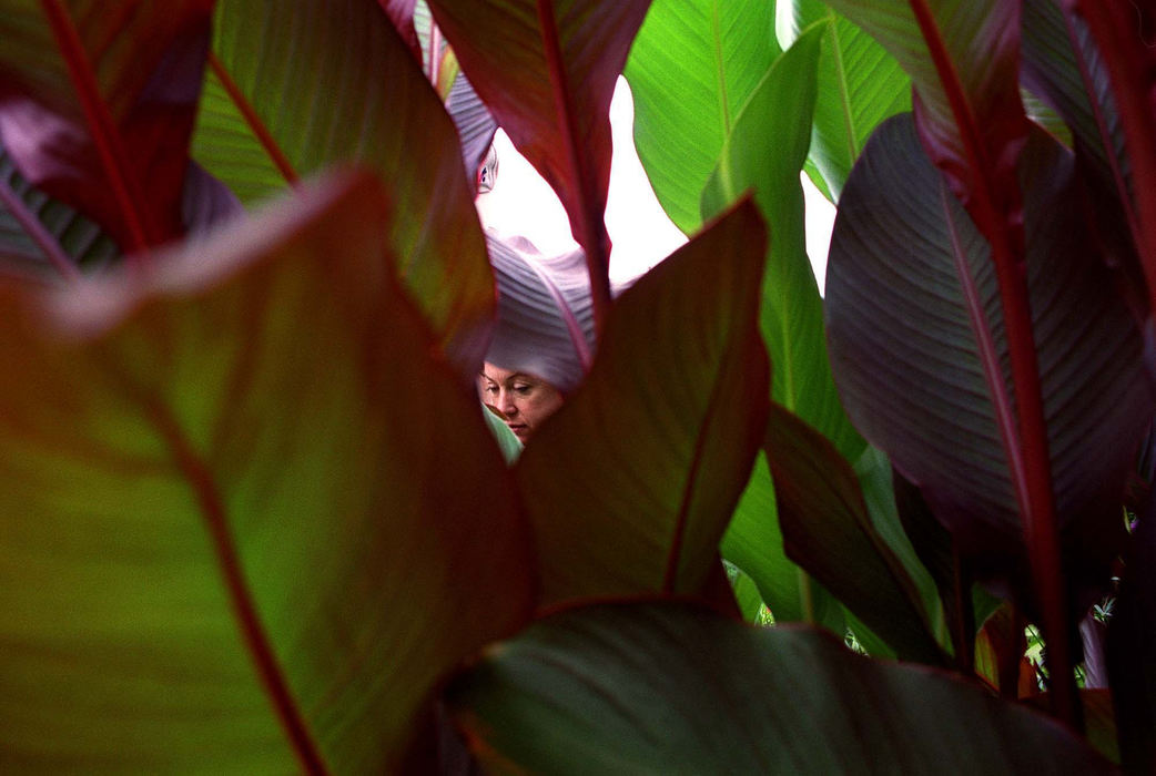 First Place, Student Photographer of the Year - James Patterson / Ohio UniversityJan Young (pictured), and her husband Rob, have been developing their garden for nine years. The garden, which contains 900 petunias, has become known as the Secret Garden by nearby Findlay University Students who see the garden as a colorful oasis in the middle of a parking lot. The Youngs allow visitors to come and go any time, and pride themselves in the garden's handicap accessibility which allows them to host garden parties for local senior citizens homes.