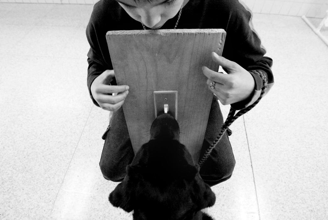 Second Place, Assigned Feature - Fred Squillante / The Columbus DispatchStudent trainer Eddie Hicks teaches Fonzie to flip a light switch during training at Walnut Springs Middle School. Eddie is one of eleven students at the school with social or emotional difficulties who train service dogs for people who use wheelchairs. Training the dogs is therapy for those students.