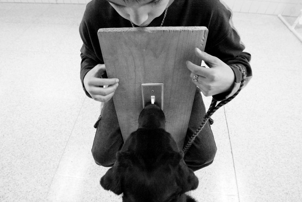 Award of Excellence, Feature Picture Story - Fred Squillante / The Columbus DispatchStudent trainer Eddie Hicks teaches Fonzie  to flip a light switch during training at Walnut Springs Middle School. 