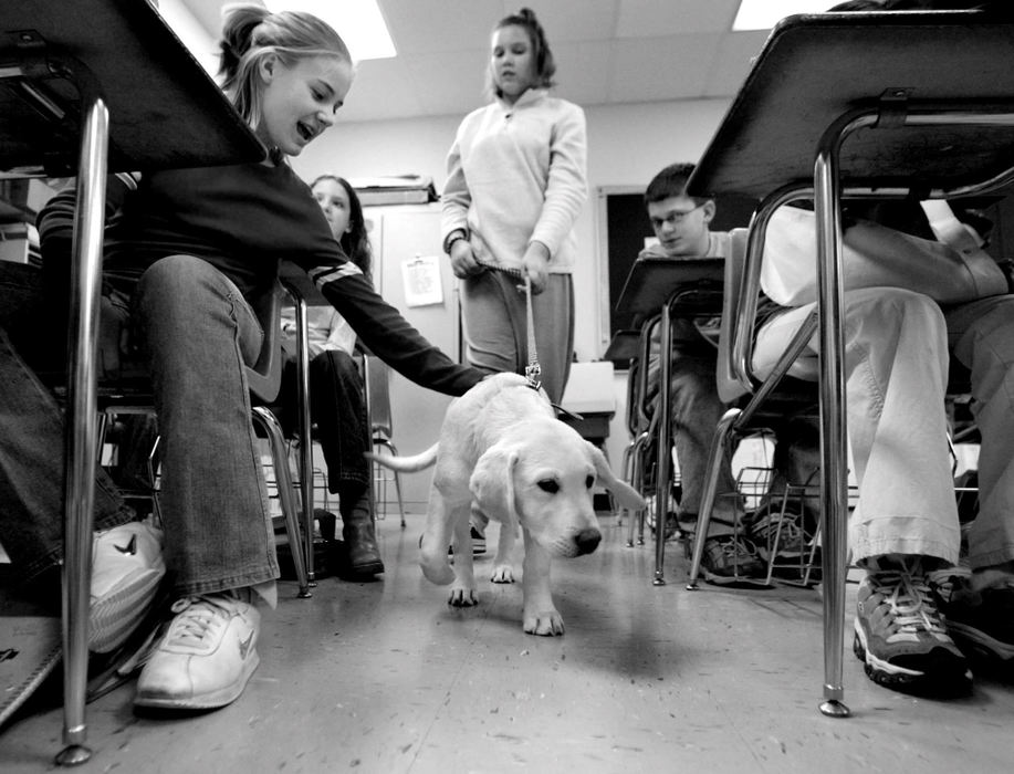 Award of Excellence, Feature Picture Story - Fred Squillante / The Columbus DispatchAndrea Arntz walks Gus through a classroom at Walnut Springs Middle School. 6th-grader Lexi Cavin, left, gives Gus a pat on the back. 